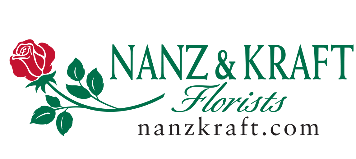 Nanz & Kraft logo